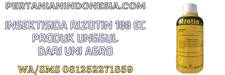 insektisida,rizotin,rizotin 100 ec,rizotin insektisida,pertanian indonesia